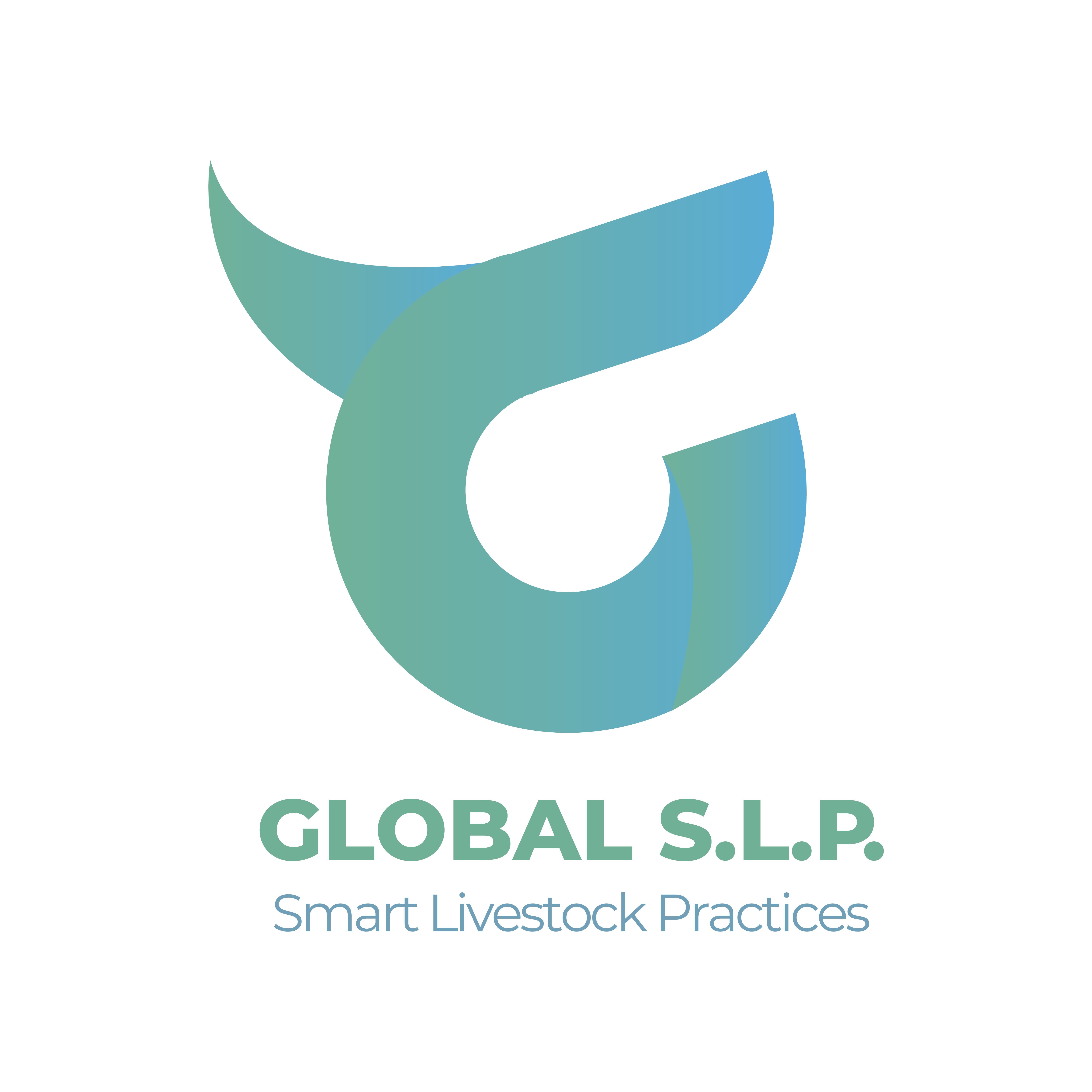 GLOBAL S.L.P